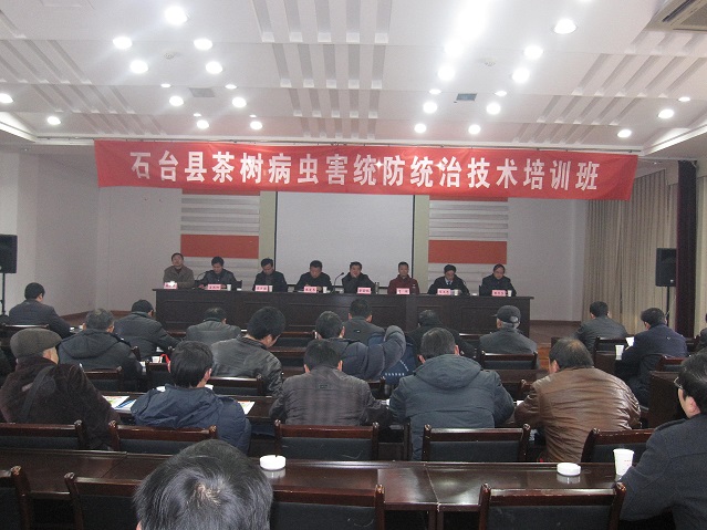 中日茶葉專家到安徽省石臺(tái)縣考察指導(dǎo)農(nóng)發(fā)項(xiàng)目建設(shè)