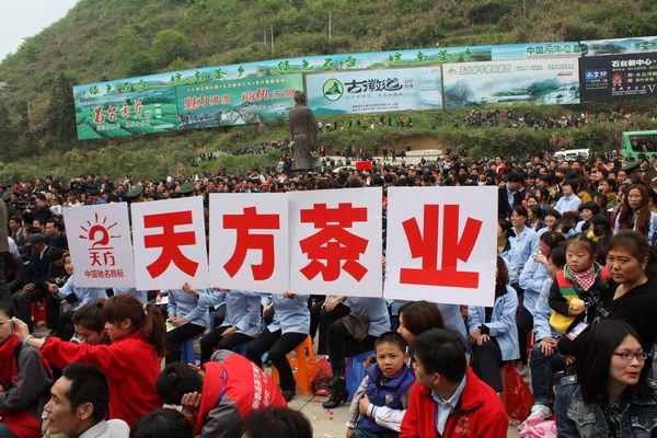 第九屆安徽·石臺茶葉節(jié)開幕