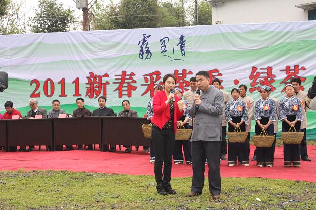 霧里青2011新春采茶季在電視鏡頭中開始