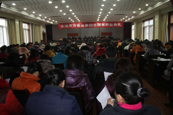 安徽天方集團(tuán)舉辦壬辰年開業(yè)典禮