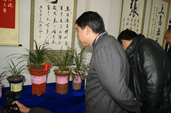 “霧里青杯”安徽省第八屆蘭花博覽會(huì)在非遺園隆重舉辦