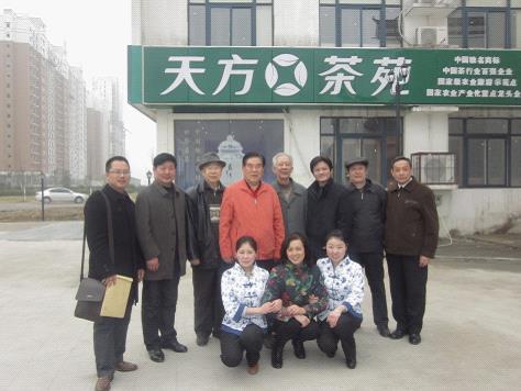 陳瑞鼎一行來合肥天方茶藝館考察