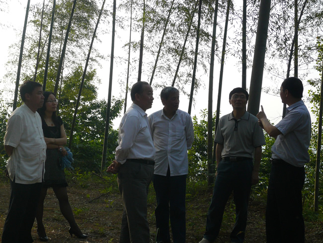 2012年石臺(tái)縣仙寓鎮(zhèn)中低產(chǎn)田改造項(xiàng)目初步設(shè)計(jì)