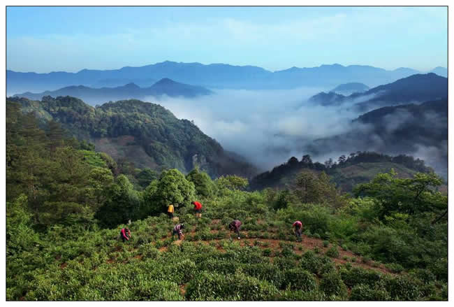 金獎(jiǎng)  王志誠(chéng)《踩云摘霧》