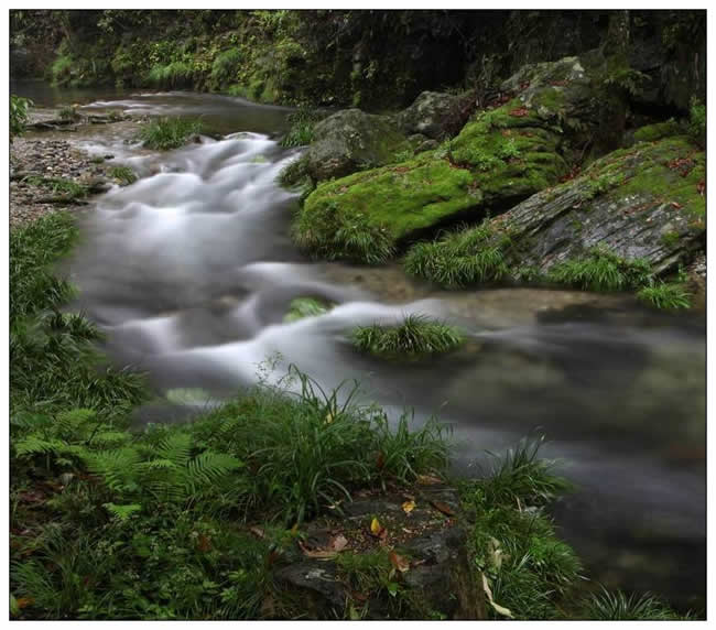 銀獎(jiǎng)  陳智《水之韻》組照