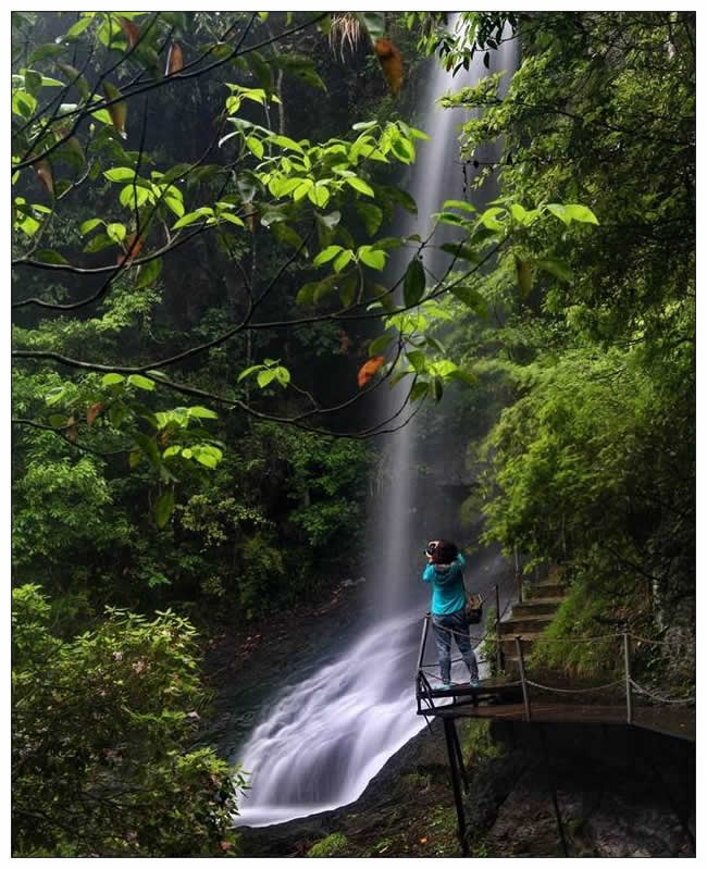 銀獎(jiǎng)  陳智《水之韻》組照