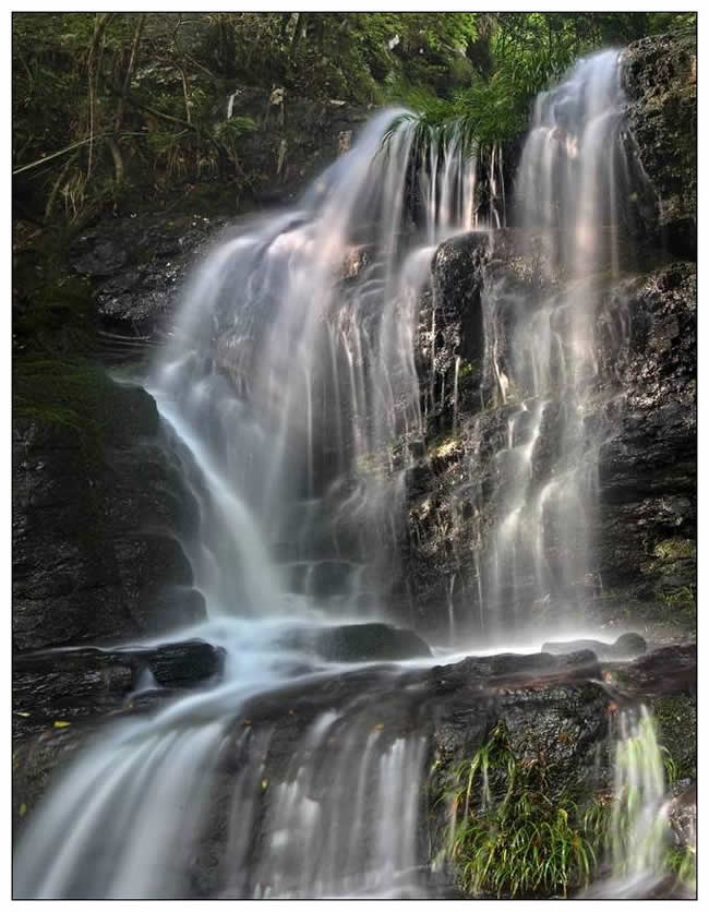 銀獎(jiǎng)  陳智《水之韻》組照