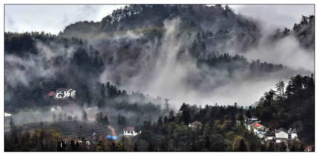銀獎(jiǎng)  何清《霧里茶山產(chǎn)香茶》