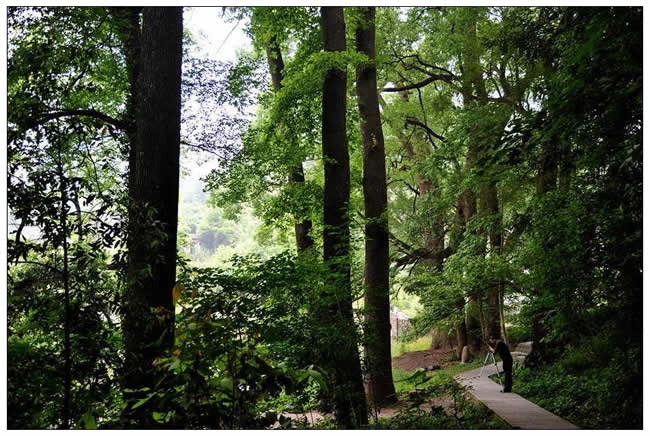 優(yōu)秀獎(jiǎng)  陳鐵忠《生機(jī)勃勃》