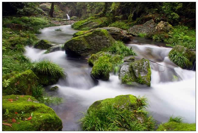 優(yōu)秀獎(jiǎng)  李學(xué)梅《清泉石上流》組照