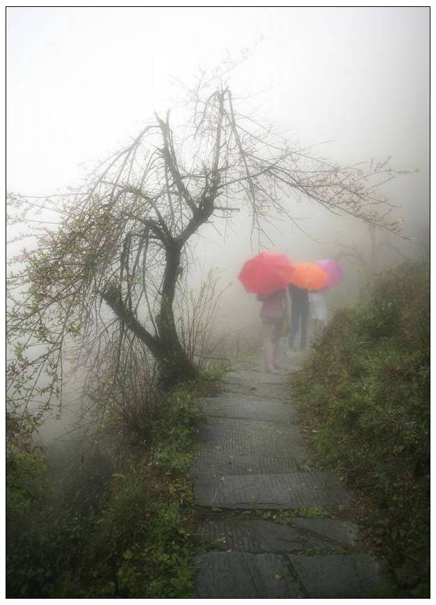 優(yōu)秀獎(jiǎng)  李學(xué)勤《徽饒古道尋春夢(mèng)》