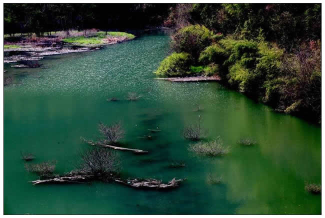 優(yōu)秀獎(jiǎng)  譚康新《斐翠池》