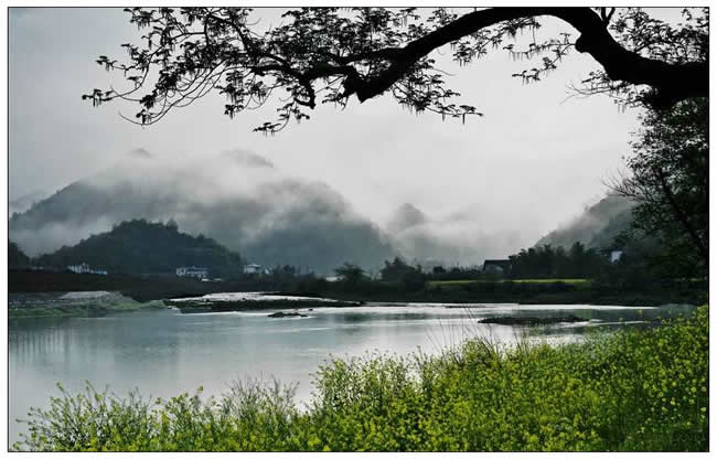 優(yōu)秀獎(jiǎng)  吳志剛《畫里茶鄉(xiāng)》