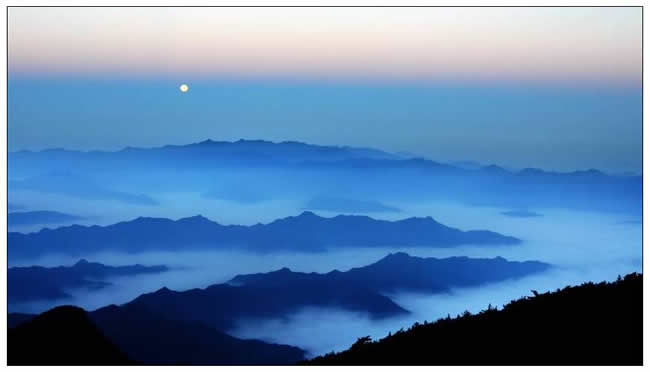 優(yōu)秀獎(jiǎng)  吳志剛《月光之舞》