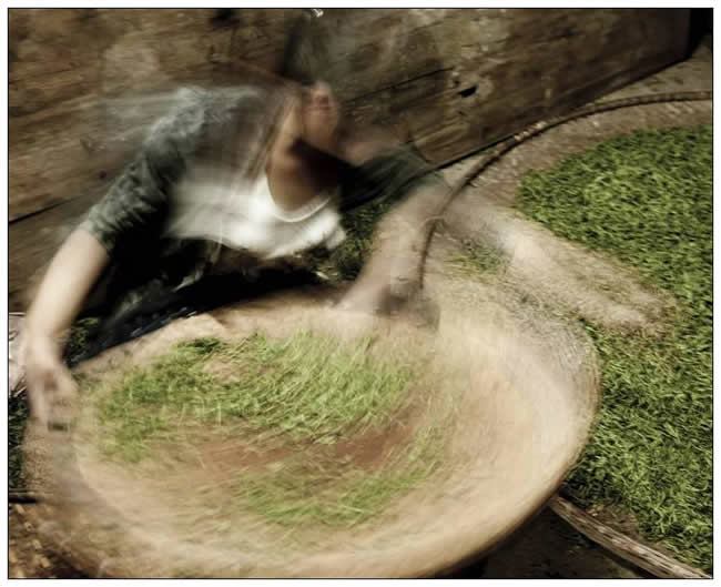 優(yōu)秀獎(jiǎng)  楊浩生《精挑細(xì)選》