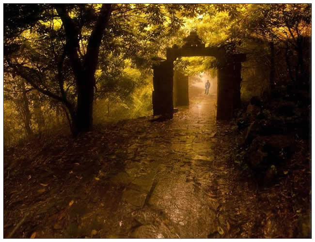 優(yōu)秀獎(jiǎng)  楊淮慶《徽饒古道—霧里青之路》