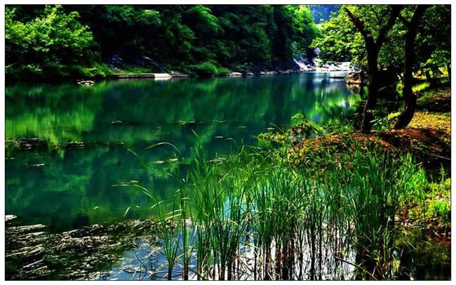 優(yōu)秀獎(jiǎng)  楊劍波《怪潭秋色》