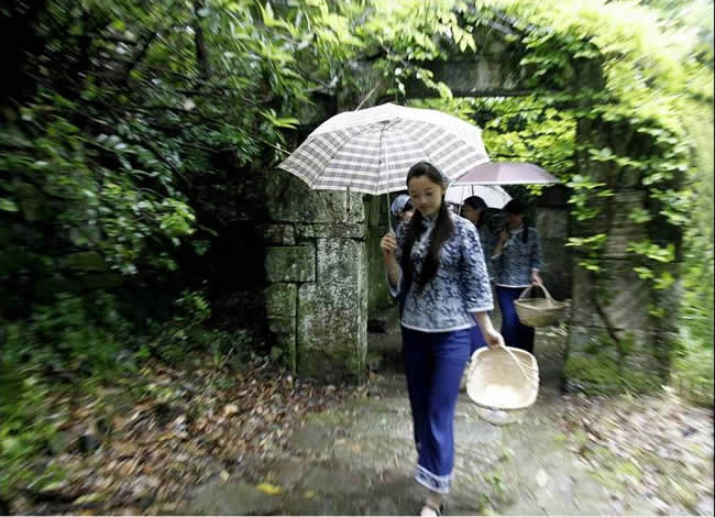 優(yōu)秀獎(jiǎng)  俞琳俊《印象霧里青》組照