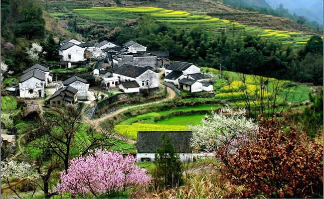 優(yōu)秀獎(jiǎng)  張振芳《三月山鄉(xiāng)》