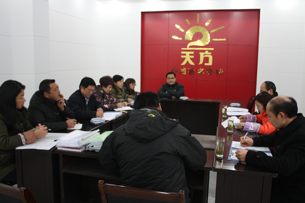 安徽天方集團(tuán)順利通過ISO9000質(zhì)量管理體系外部審核