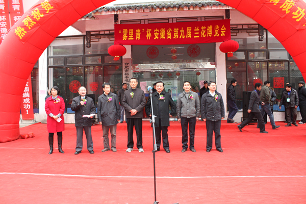 “霧里青杯”安徽第九屆蘭花博覽會開幕
