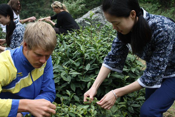 馬克思·薩米能學(xué)采茶