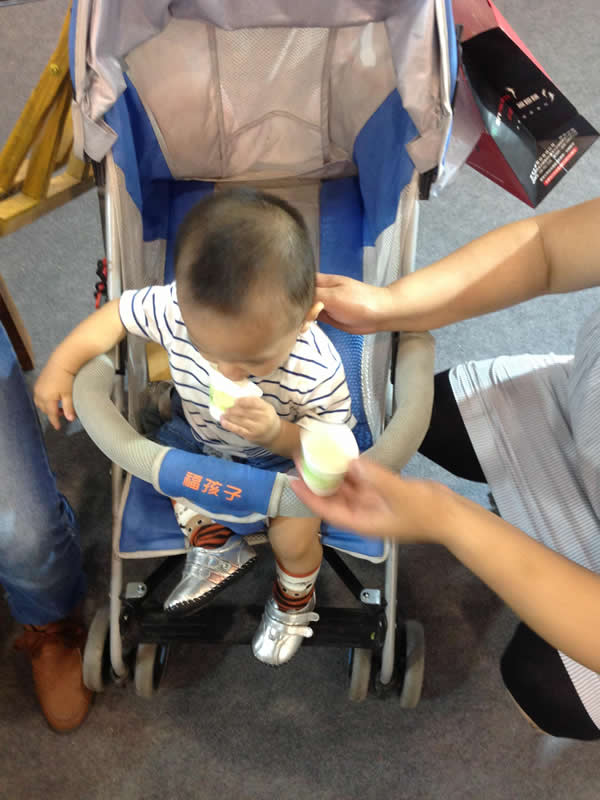 2013中國安徽（合肥）農(nóng)交會九月舉行