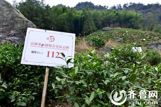 QQ圖片20151220135357